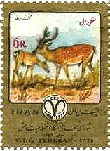 鹿の親子（Fawn　Deer、イラン、1974年)