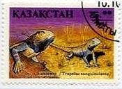 ステップアガマ（カザフスタン、1994年、トカゲ）