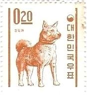 珍島(Jin-Do）の珍島犬（天然記念物、韓国）