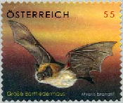 コウモリ（オーストリア、2007年）