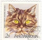 ハンガリーの家ネコ（1968年）　ブラウン・ストライプド・ペルシャ猫