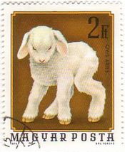 ラム（羊の子供、ハンガリー､1974年）