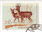 ハンガリーの鹿狩り