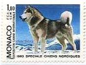 モナコの犬達　イヌ　アラスカン・マラミュート（1983年）