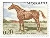 アングロサクソン系のアラビア馬（anglo-arabian thoroughbred 、モナコ、1970年）