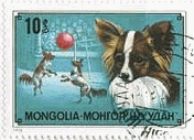 モンゴルの犬の切手（1978年）　パピヨン(Papillon）