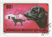 モンゴルの犬の切手（1978年）　ﾓﾝｺﾞﾘｱﾝ･見張り犬