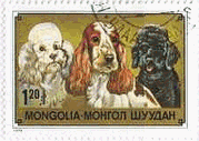 モンゴルの犬の切手（1978年）　コッカー・スパニエルとプードル