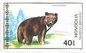 モンゴルの熊