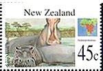 ニュージーランドのカバ　河馬