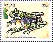 サモアの両生類　切手　テーブルマウンテインゴーストカエル(Table Mountain ghost frog )