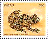 サモアの両生類　切手　Hewitt's ghost frog（カエル）