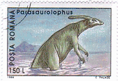 パラサウロロフス（ Parasaurolophus ）