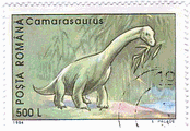 ルーマニアの恐竜（１９９３年、１９９４年）カマラサウルス（Camarasaurus）