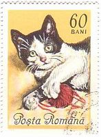 ヨーロッパの猫（ルーマニア,1965年）