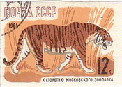 虎（トラ、ソ連、1964年）