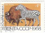 シマウマとバッファロー（ソ連）　哺乳類