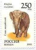 ロシアのアジアゾウ(1993年)　Elephas maximus　切手