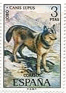 オオカミ（ｽﾍﾟｲﾝ、1972年）