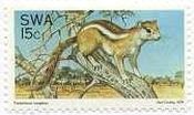 樹上性リス・Tree squirrel （南西アフリカ､1976年）