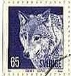 オオカミ・狼（スウェーデン）　1973年