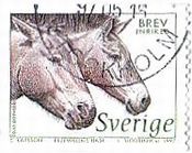 プシバルシキーウマ（スウェーデン、1997年、絶滅危惧種）