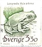 ヨーロッパアマガエル（スウェーデン、1989年）