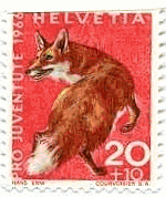 赤キツネ(Red　fox）