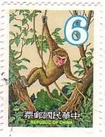 猿（台湾）