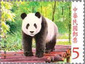 中国から台湾に贈られたパンダのペア。雄の団団(トァントァン)と雌の円円(ユェンユェン)。（台湾、2008年）