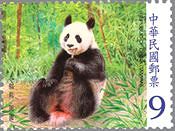 中国から台湾に贈られたパンダのペア。雄の団団(トァントァン)と雌の円円(ユェンユェン)。（台湾、2008年）