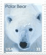 シロクマ （polar bear、Ursus maritimus ）　アメリカ
