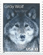 灰色オオカミ（gray wolf、米国）