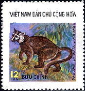 ハクビシン（Paguma larvata、北ベトナム、1976年）