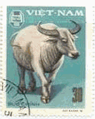 ベトナムの牛　切手　動物　哺乳類