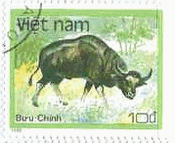 危急種・ガウル（ベトナム、1988年）　牛　野生