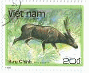 ホッグ鹿（ベトナム、1988年）axis porcinus