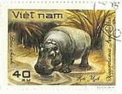 ベトナムの河馬