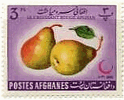 西洋梨（アフガニスタン､1962年）　果物　フルーツ