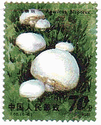 中国・食用キノコ（マッシュルーム）　切手