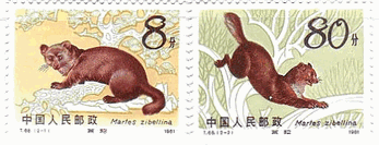 中国のクロテン　切手