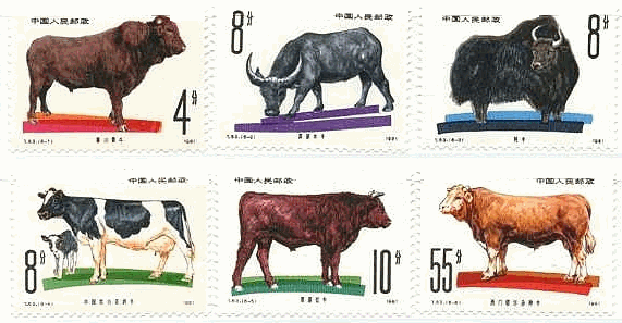 ホルスタイン　牛　ウシ　中国　黄牛、水牛、ヤク  黒白花乳牛、紅牛、雑牛