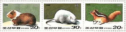 北朝鮮　動物　切手　ねずみ　リス　モルモット