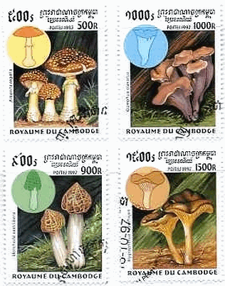 カンボジア　900r:Amanita regalis,900r:Morchella semillbera,1000r:Gomphus clatus,1500r:Hygrophorus hypothejus(シモフリヌメリガサ)　切手