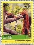 インドの薬用植物　切手