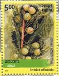 インドの薬用植物　切手