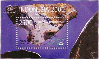 インドネシア　<FONT color="#000000">桂化木</FONT>（オパール）