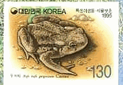 韓国　切手　両生類　かえる　カエル　蛙　ヨーロッパヒキガエル(Bufo bufo)