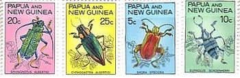パプアニューギニア　カミキリ　玉虫