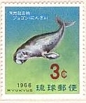 人魚　ジュゴン　沖縄　哺乳類